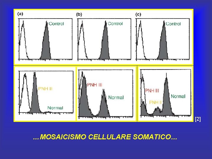 [2] …MOSAICISMO CELLULARE SOMATICO… 