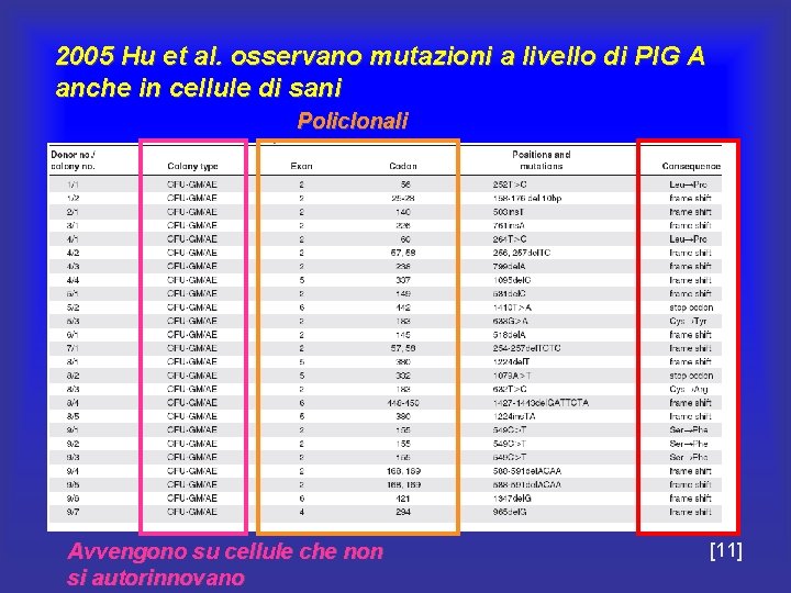 2005 Hu et al. osservano mutazioni a livello di PIG A anche in cellule