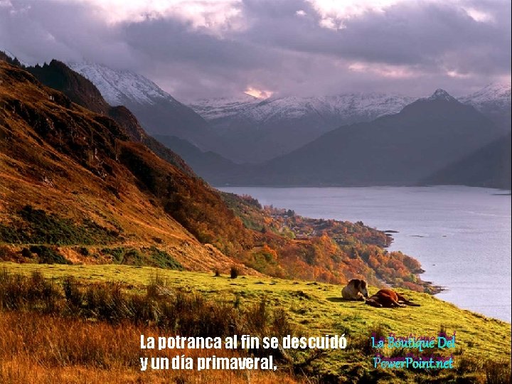 La potranca al fin se descuidó y un día primaveral, La Boutique Del Power. La potranca al fin se descuidó y un día primaveral, La Boutique Del Power.