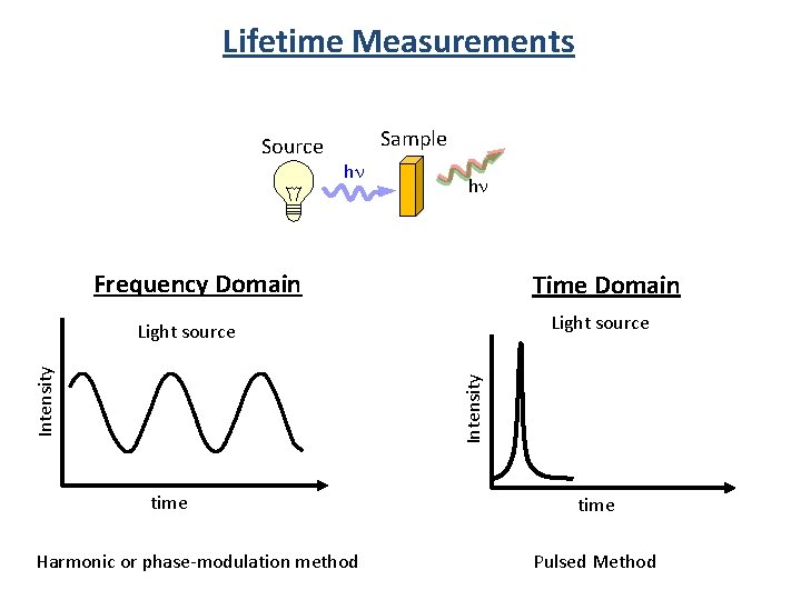 Lifetime Measurements Source Sample hn hn Frequency Domain Time Domain Light source Intensity Light