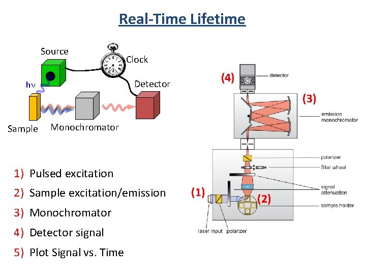 Real-Time Lifetime Source Clock (4) Detector hn (3) Sample Monochromator 1) Pulsed excitation 2)