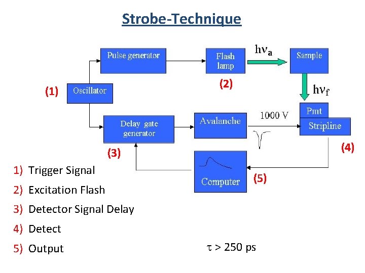 Strobe-Technique (2) (1) (4) (3) 1) Trigger Signal 2) Excitation Flash (5) 3) Detector