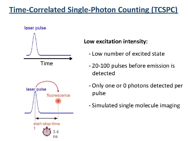 Time-Correlated Single-Photon Counting (TCSPC) Low excitation intensity: - Low number of excited state Time