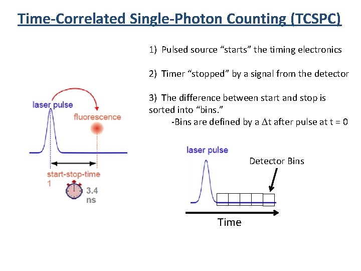 Time-Correlated Single-Photon Counting (TCSPC) 1) Pulsed source “starts” the timing electronics 2) Timer “stopped”