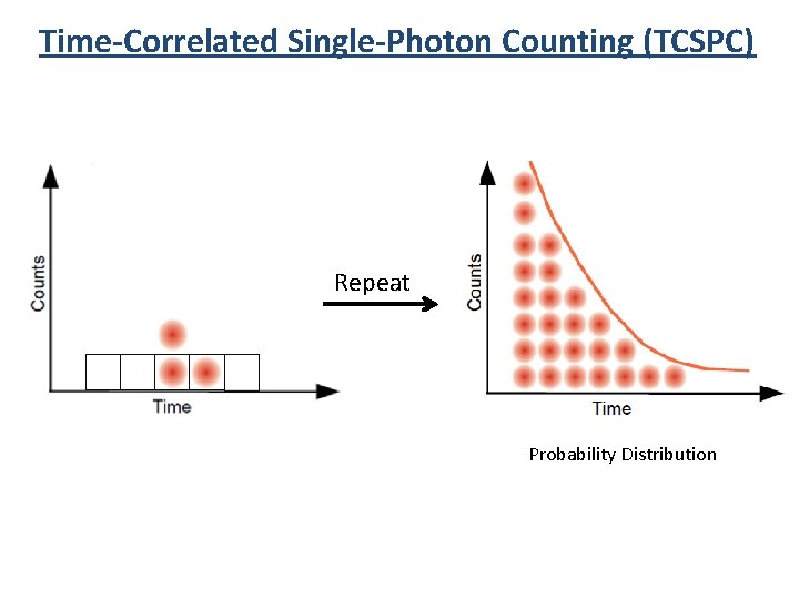Time-Correlated Single-Photon Counting (TCSPC) Repeat Probability Distribution 