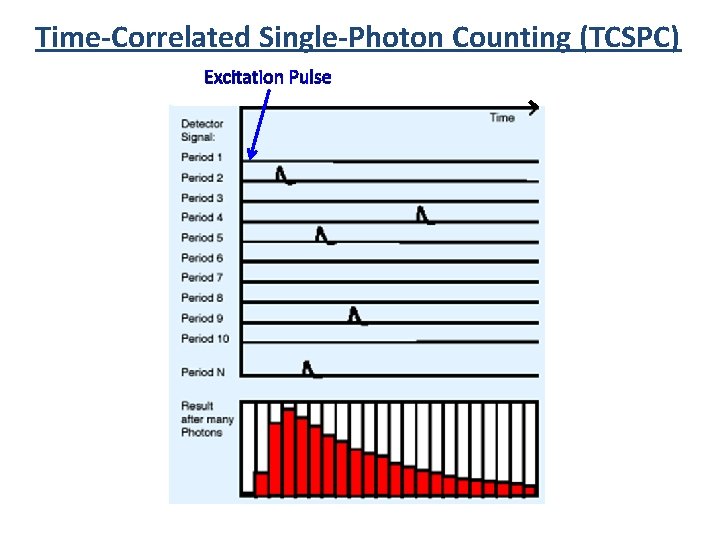 Time-Correlated Single-Photon Counting (TCSPC) Excitation Pulse 