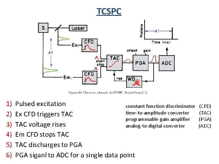 TCSPC 1) Pulsed excitation constant function discriminator (CFD) time-to-amplitude converter (TAC) 2) Ex CFD