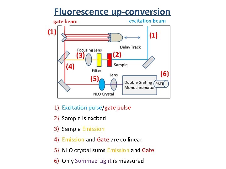 Fluorescence up-conversion excitation beam gate beam (1) (2) (3) (4) (5) 1) Excitation pulse/gate