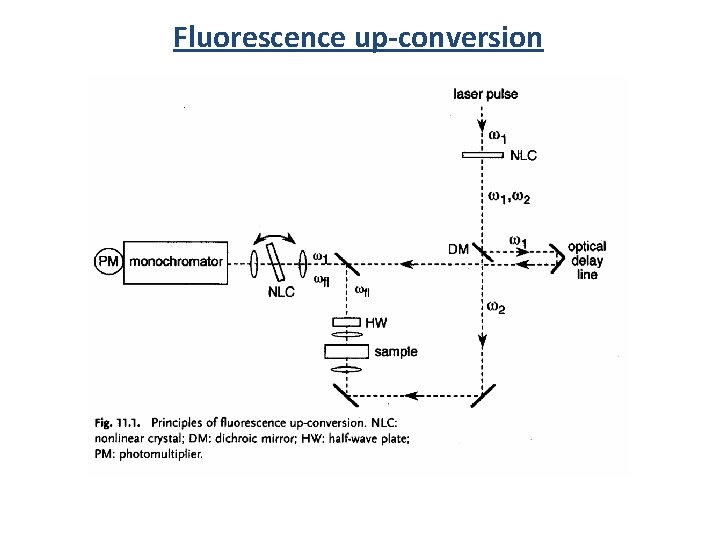 Fluorescence up-conversion 