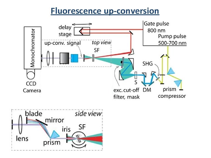 Fluorescence up-conversion 