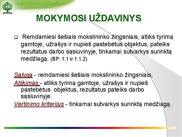 MOKYMOSI UŽDAVINYS q Remdamiesi šešiais mokslininko žingsniais, atliks tyrimą gamtoje, užrašys ir nupieš pastebėtus