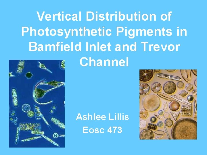 Vertical Distribution of Photosynthetic Pigments in Bamfield Inlet and Trevor Channel Ashlee Lillis Eosc