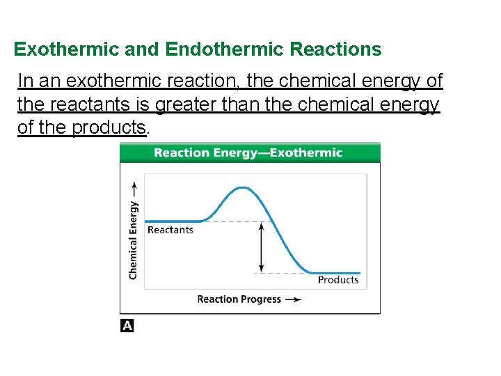 Exothermic and Endothermic Reactions In an exothermic reaction, the chemical energy of the reactants Exothermic and Endothermic Reactions In an exothermic reaction, the chemical energy of the reactants