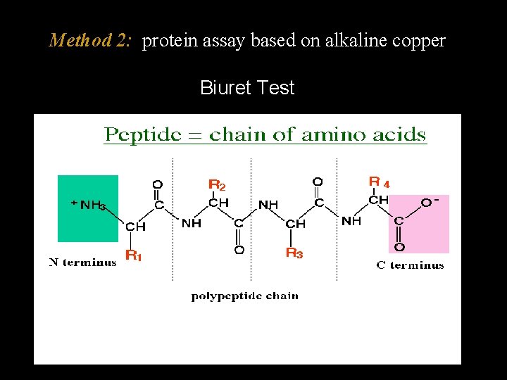 Method 2: protein assay based on alkaline copper Biuret Test 