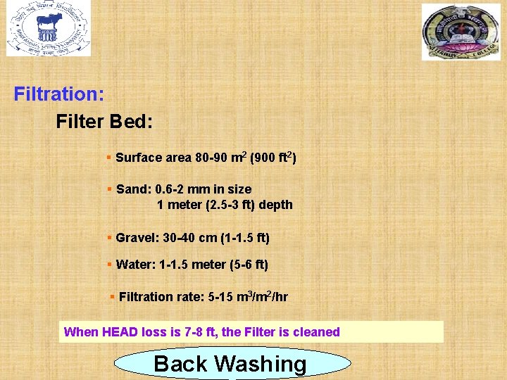 Filtration: Filter Bed: § Surface area 80 -90 m 2 (900 ft 2) §