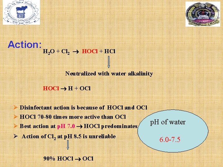 Action: H 2 O + Cl 2 HOCl + HCl Neutralized with water alkalinity