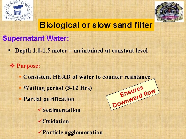 Biological or slow sand filter Supernatant Water: § Depth 1. 0 -1. 5 meter