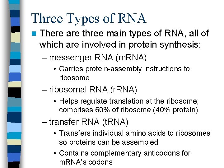 Three Types of RNA n There are three main types of RNA, all of