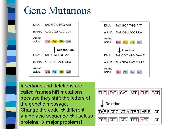 Gene Mutations Insertions and deletions are called frameshift mutations because they shift the letters