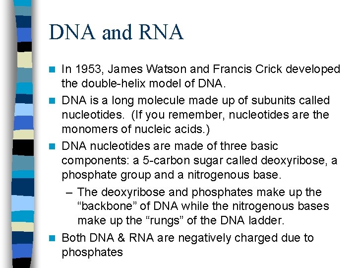 DNA and RNA In 1953, James Watson and Francis Crick developed the double-helix model