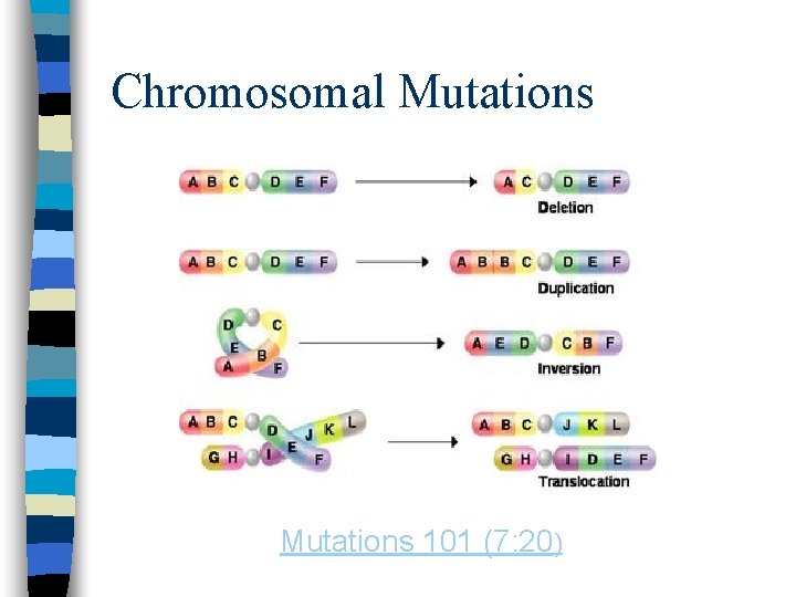 Chromosomal Mutations 101 (7: 20) 