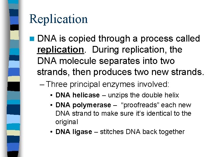 Replication n DNA is copied through a process called replication. During replication, the DNA