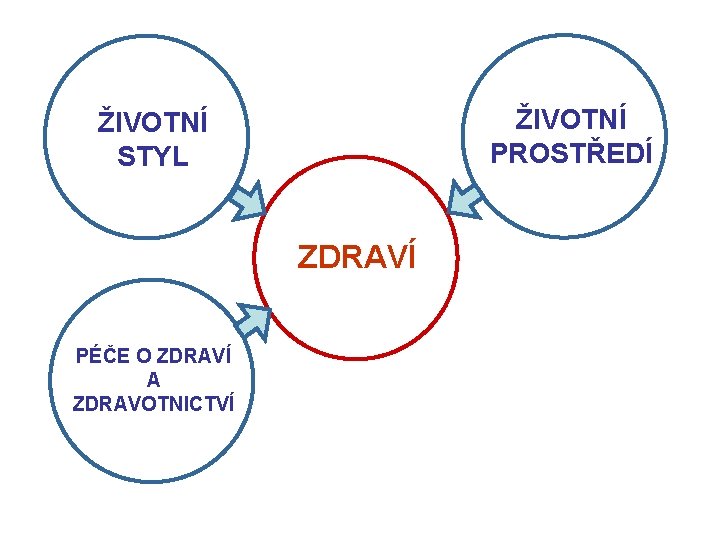 ŽIVOTNÍ PROSTŘEDÍ ŽIVOTNÍ STYL ZDRAVÍ PÉČE O ZDRAVÍ A ZDRAVOTNICTVÍ 