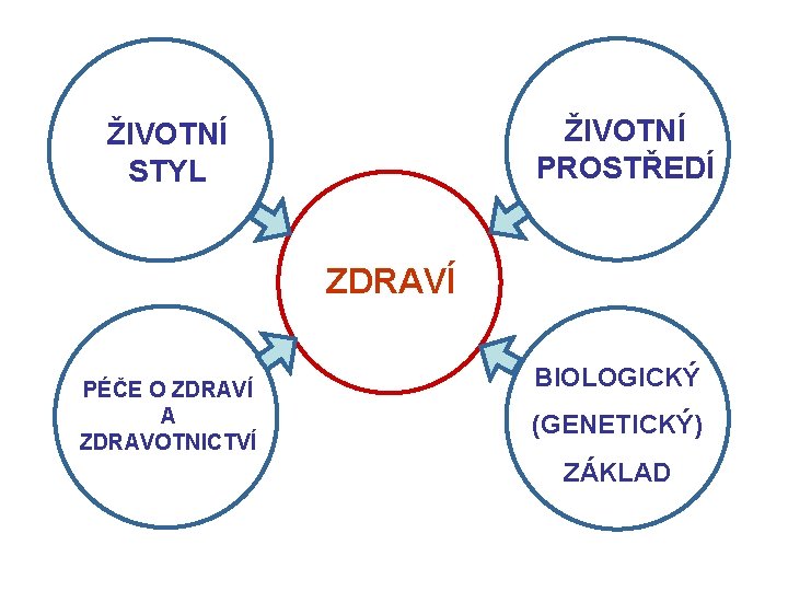 ŽIVOTNÍ PROSTŘEDÍ ŽIVOTNÍ STYL ZDRAVÍ PÉČE O ZDRAVÍ A ZDRAVOTNICTVÍ BIOLOGICKÝ (GENETICKÝ) ZÁKLAD 