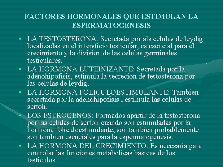 FACTORES HORMONALES QUE ESTIMULAN LA ESPERMATOGENESIS • LA TESTOSTERONA: Secretada por als celulas de