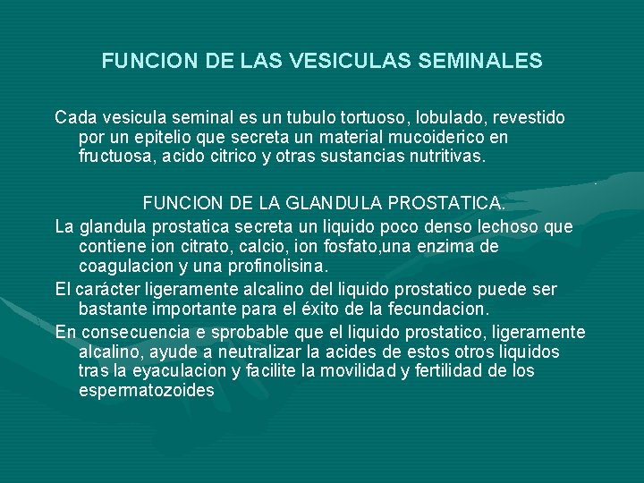 FUNCION DE LAS VESICULAS SEMINALES Cada vesicula seminal es un tubulo tortuoso, lobulado, revestido