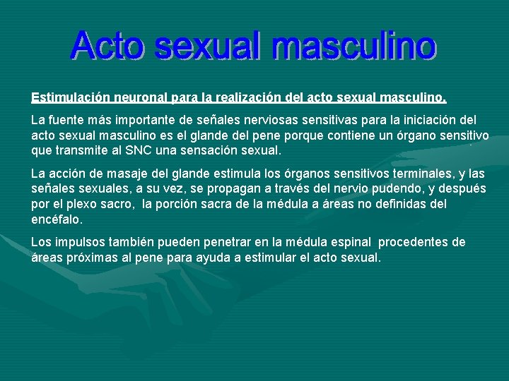 Estimulación neuronal para la realización del acto sexual masculino. La fuente más importante de