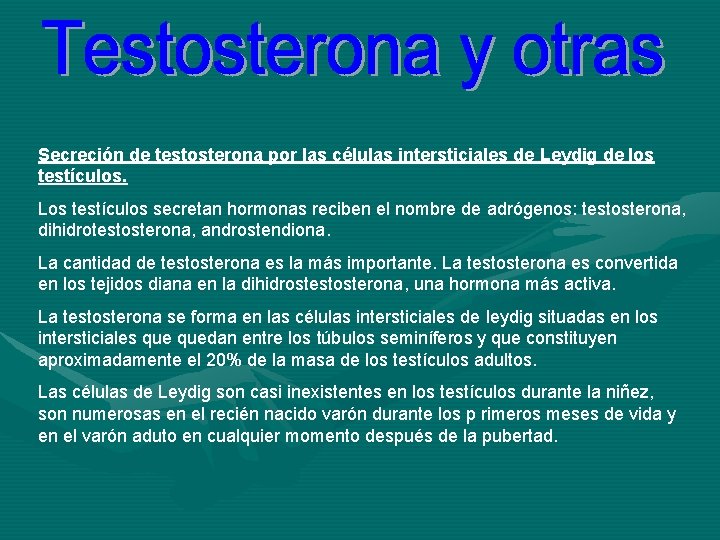 Secreción de testosterona por las células intersticiales de Leydig de los testículos. Los testículos