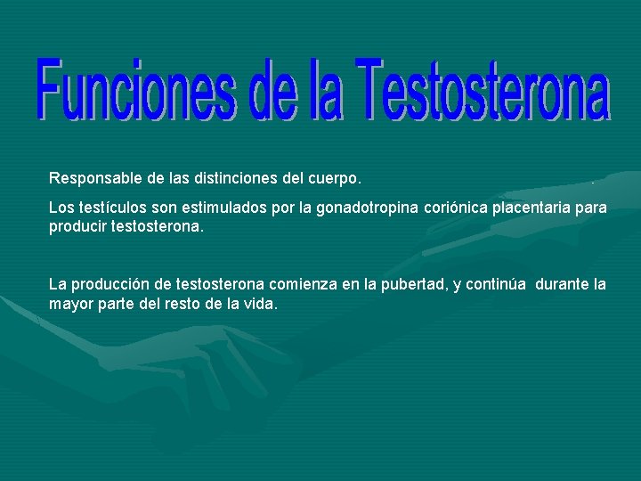 Responsable de las distinciones del cuerpo. Los testículos son estimulados por la gonadotropina coriónica