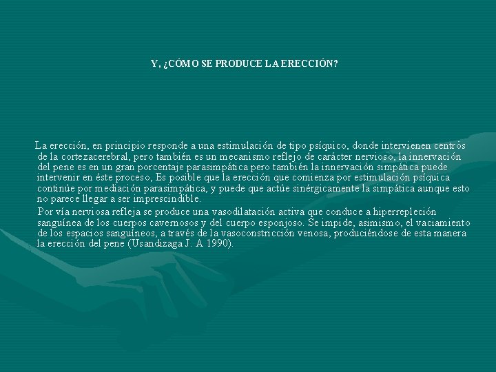 Y, ¿CÓMO SE PRODUCE LA ERECCIÓN? La erección, en principio responde a una estimulación