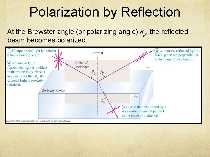 Polarization by Reflection At the Brewster angle (or polarizing angle) θp, the reflected beam