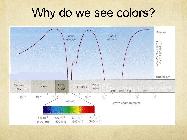 Why do we see colors? 
