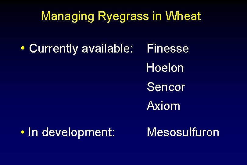 Managing Ryegrass in Wheat • Currently available: Finesse Hoelon Sencor Axiom • In development: