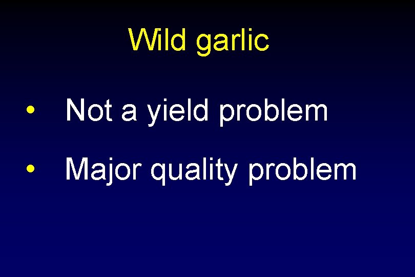 Wild garlic • Not a yield problem • Major quality problem 