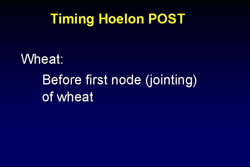 Timing Hoelon POST Wheat: Before first node (jointing) of wheat 