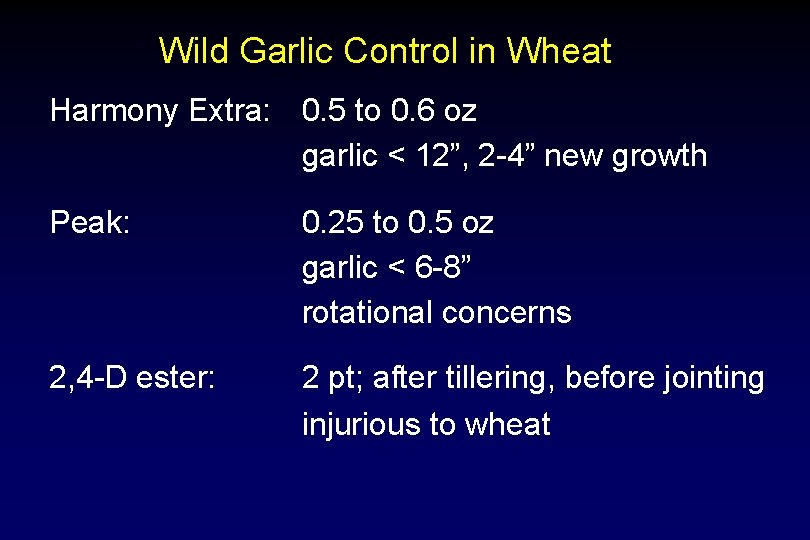 Wild Garlic Control in Wheat Harmony Extra: 0. 5 to 0. 6 oz garlic