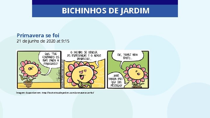 BICHINHOS DE JARDIM Primavera se foi 21 de junho de 2020 at 9: 15