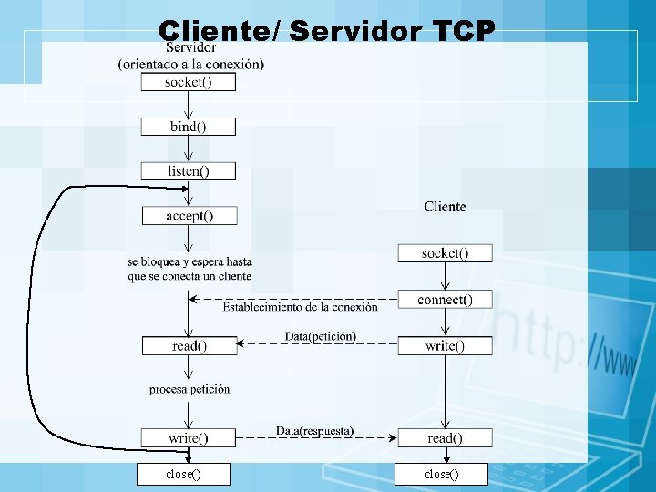 Cliente/ Servidor TCP close() 