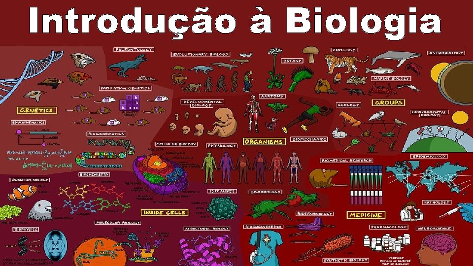 Introdução à Biologia 