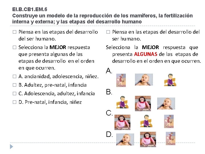 EI. B. CB 1. EM. 6 Construye un modelo de la reproducción de los