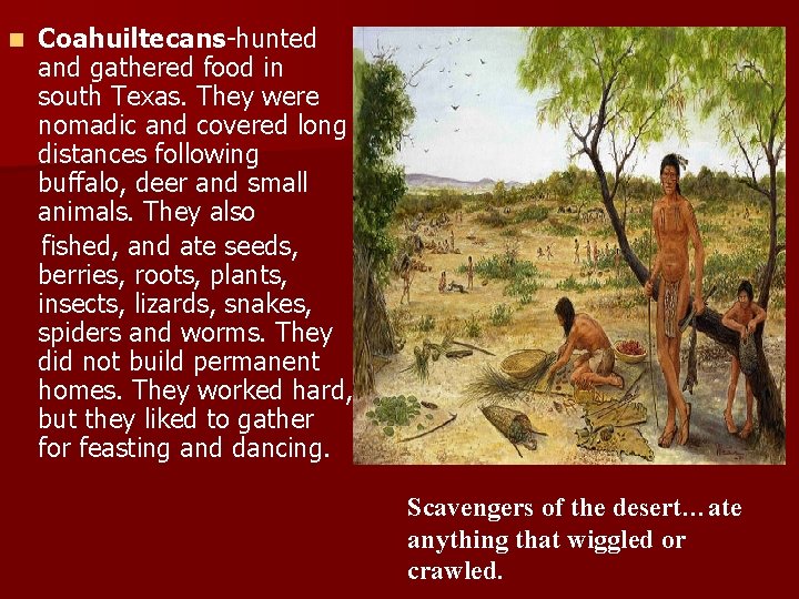 n Coahuiltecans-hunted and gathered food in south Texas. They were nomadic and covered long