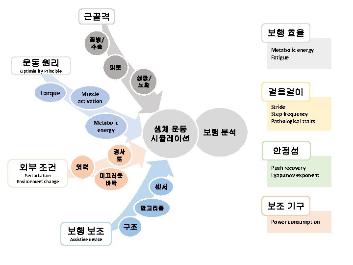 근골격 보행 효율 질병/ 수술 운동 원리 Metabolic energy Fatigue 피로 Optimiality Principle 성장/