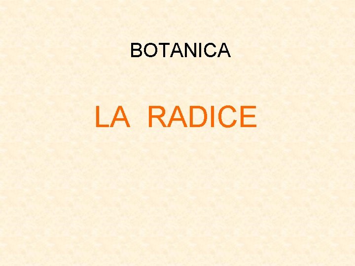 BOTANICA LA RADICE 