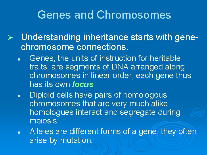 Genes and Chromosomes Understanding inheritance starts with gene chromosome connections. Ø l l l