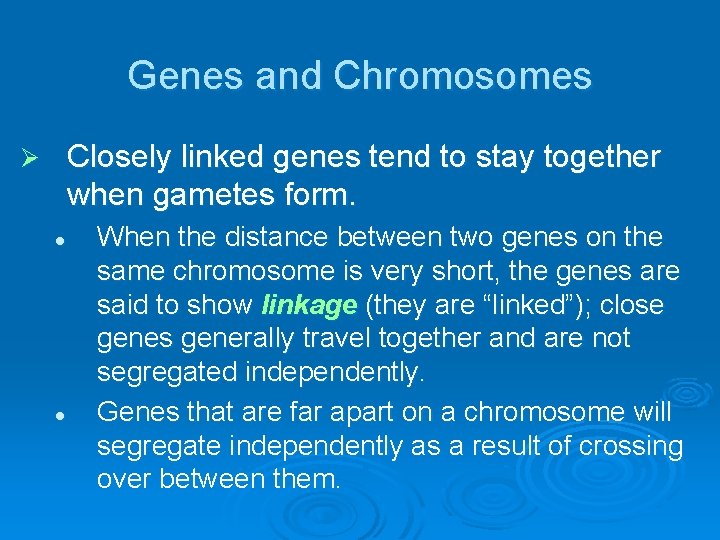 Genes and Chromosomes Closely linked genes tend to stay together when gametes form. Ø