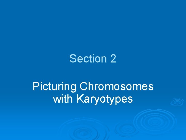 Section 2 Picturing Chromosomes with Karyotypes 